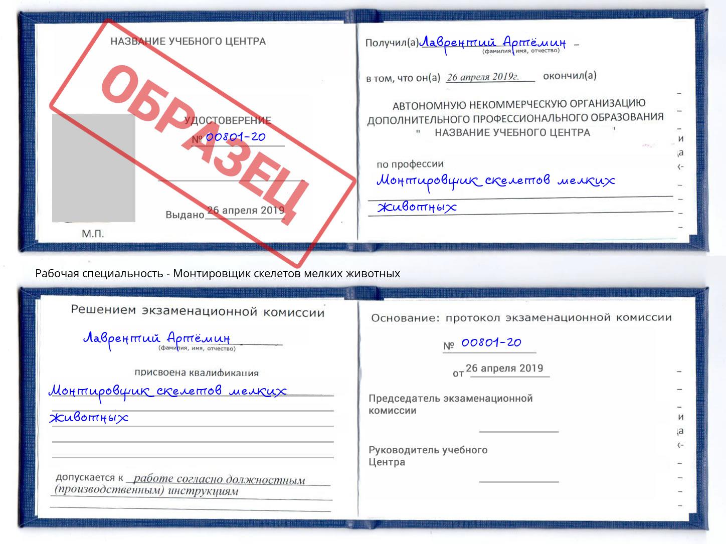 Монтировщик скелетов мелких животных Симферополь
