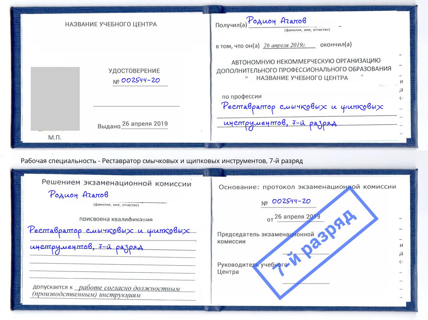 корочка 7-й разряд Реставратор смычковых и щипковых инструментов Симферополь