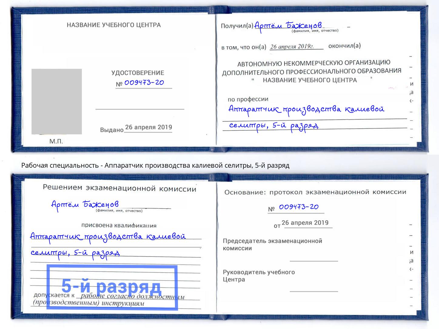 корочка 5-й разряд Аппаратчик производства калиевой селитры Симферополь